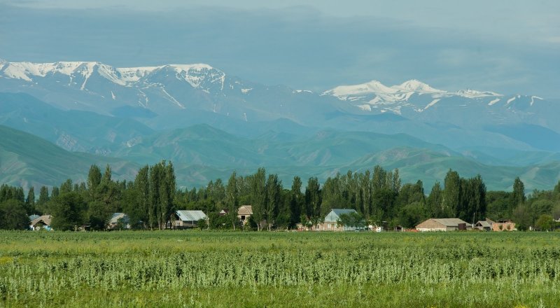 Фото Турар Казангапов ©