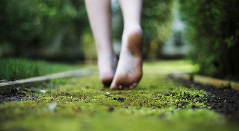 Фото с сайта hhdep.xy