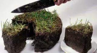 Масимов прокомментировал вопрос о выделении 10 соток земли каждому казахстанцу