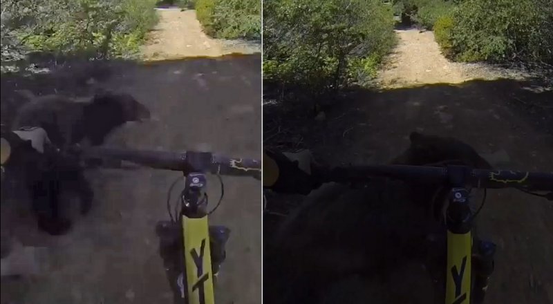 Кадры из видеоролика