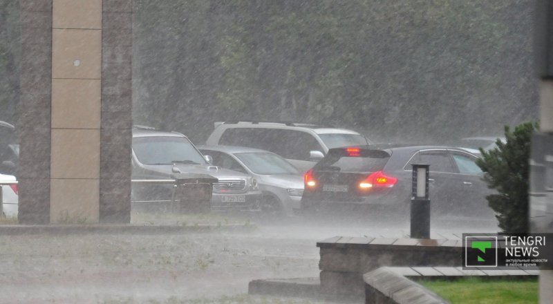 Фото © Николай Колесников