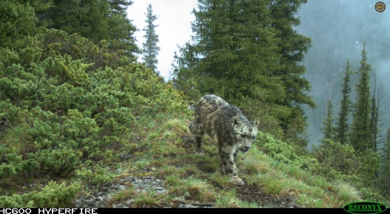 Фото со страницы Facebook "Казахское Географическое Общество"