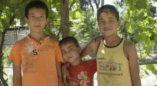 Операция "Яблоки" или почему в соседнем саду они вкуснее