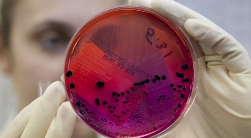 Фото с сайта likar.info