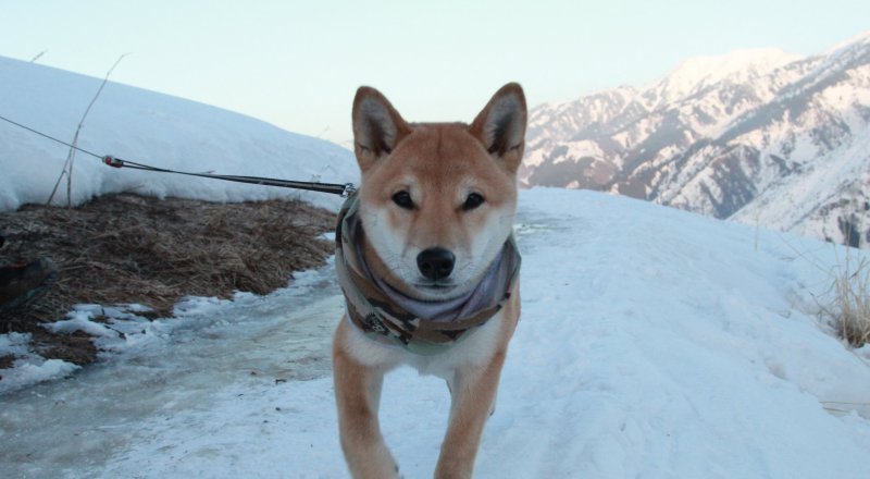 Фото ©Владимир Прокопенко