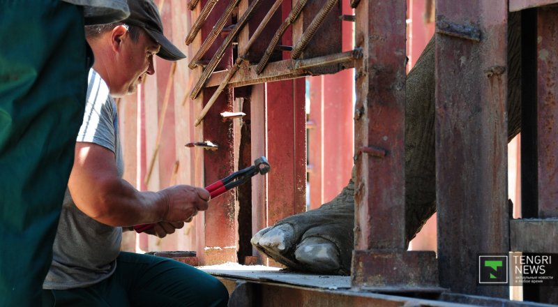 Фото © Николай Колесников