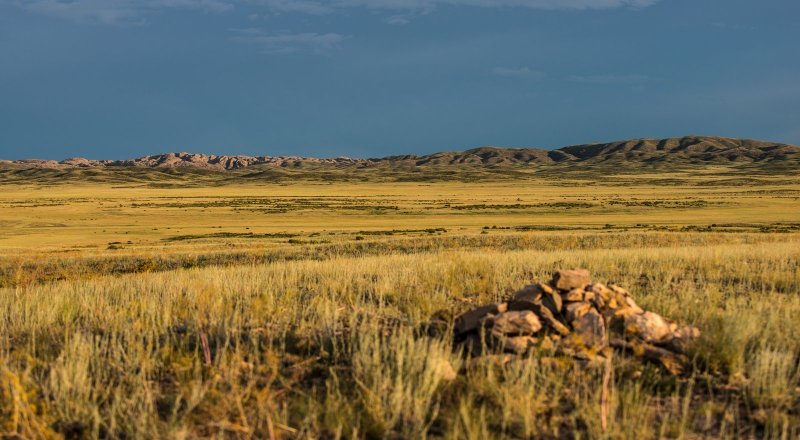 Фото Турар Казангапов ©