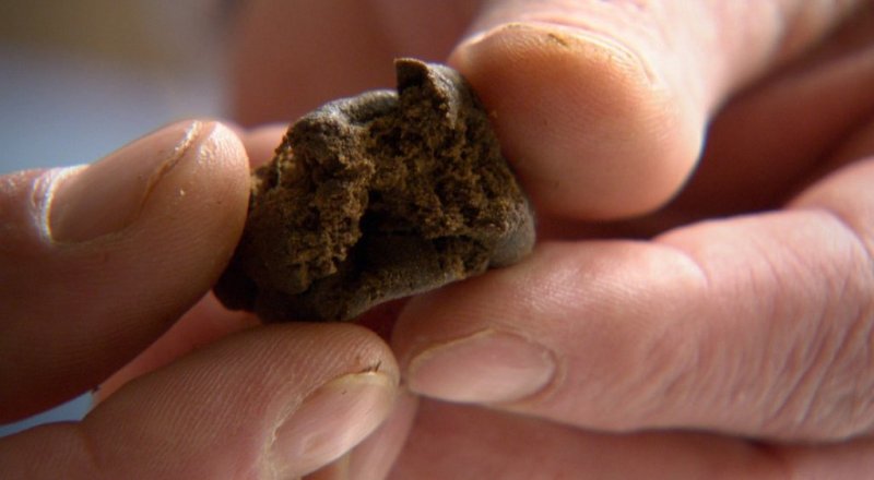 Фото с сайта al-amin.ru