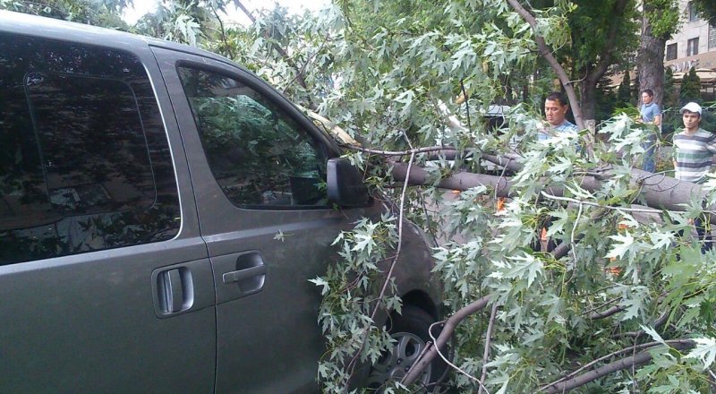 Фото программы Территория происшествий©