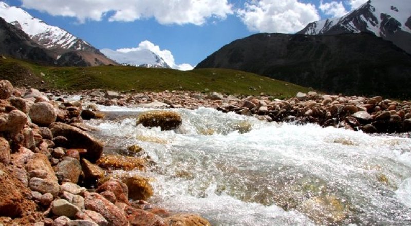 Фото с сайта silkadv.com