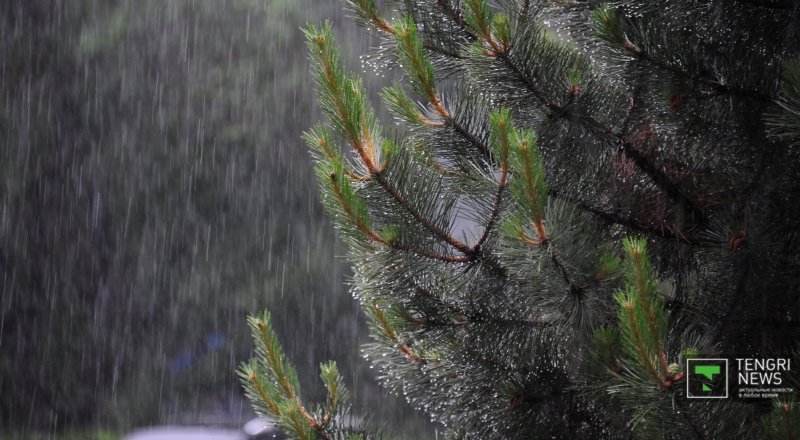 Фото © Tengrinews.kz