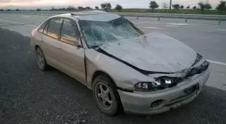 Автомобиль насмерть сбил лошадь на трассе Алматы-Талдыкорган