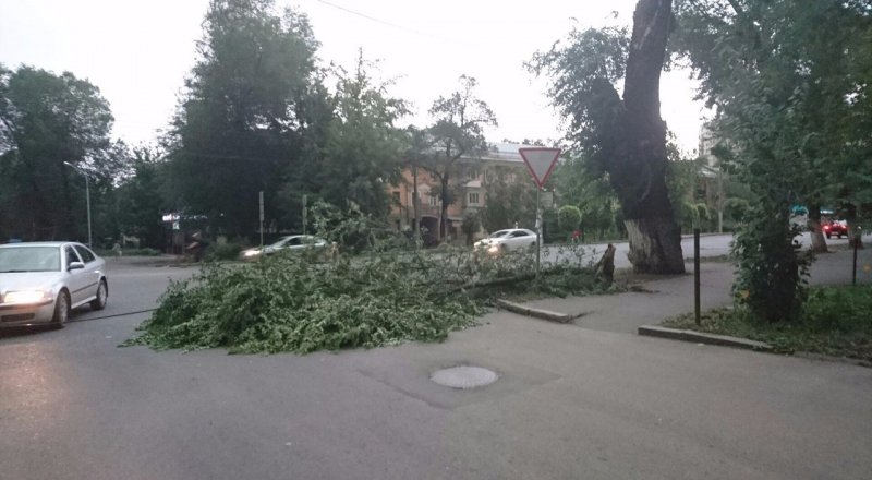 Фото из социальных сетей