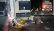 17-летний афганский беженец с топором устроил бойню в поезде в Германии