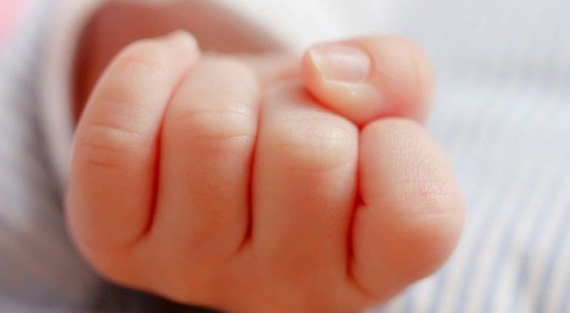 Фото с сайта ptzgovorit.ru