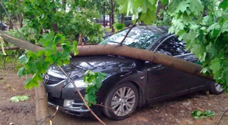 Иллюстративное фото с сайта arena-rv.ru