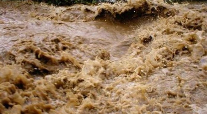 Фото с сайта dailynews.kz