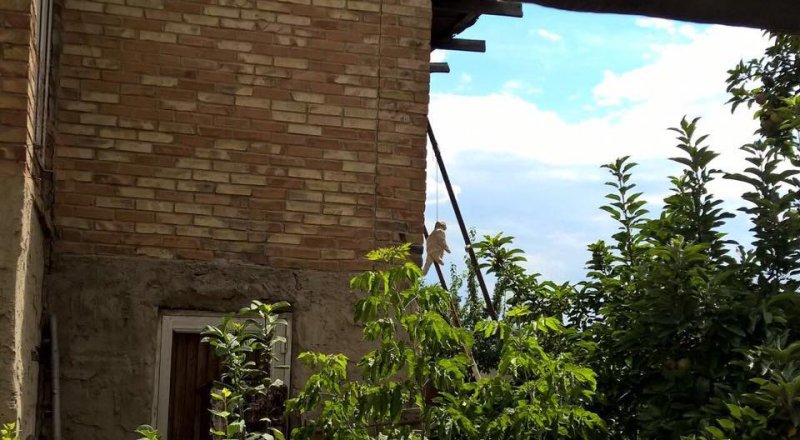 Фото: Юлия Снегирева/Facebook