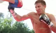 Головкин запросил разрешение у WBA на бой с Бруком