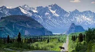 Женщина путешествовала по Аляске со своим покойным мужем