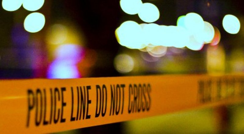 Фото с сайта ptzgovorit.ru