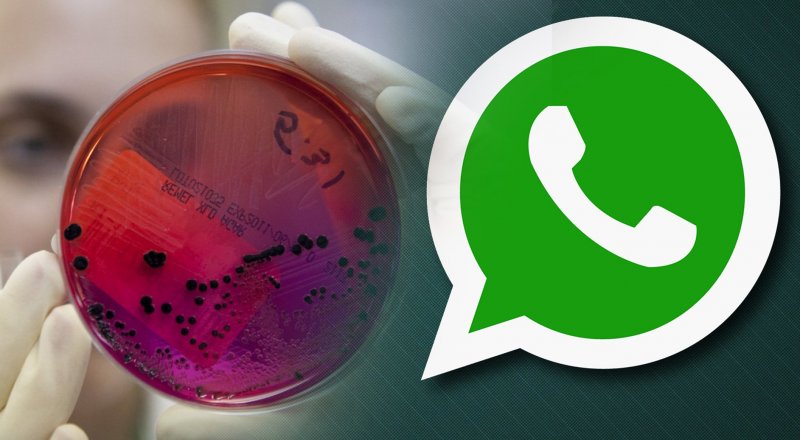 Коллаж © Tengrinews.kz