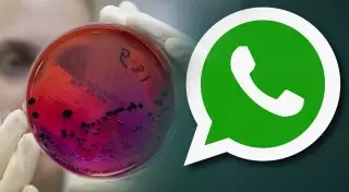 Автор ложной рассылки о молоке с сибирской язвой объяснила свой поступок