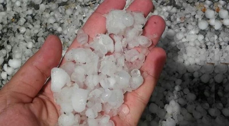 Фото из архива Tengrinews.kz