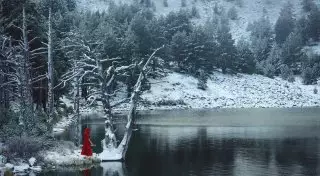 Фотографы, чьи работы покорили тысячи людей в этом году