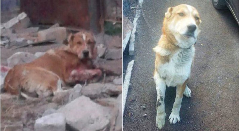 Фото предоставили волонтеры благотворительного движения "Дари добро Караганда".