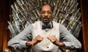 40 человек пострадали на концерте Snoop Dogg при падении ограждения