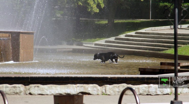 Фото © Tengrinews.kz