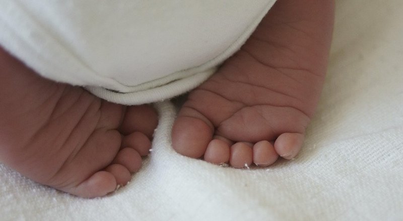 Фото с pixabay.com