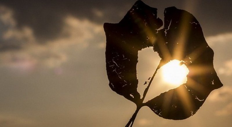 Фото с сайта gazeta-n1.ru