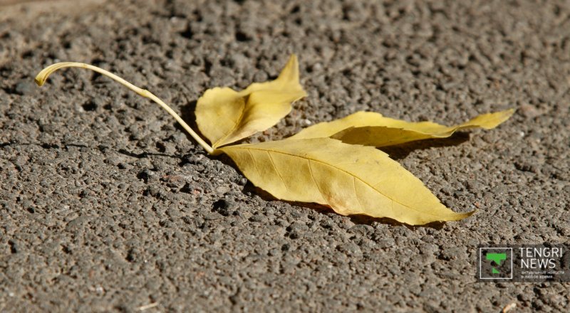 Фото © Tengrinews.kz