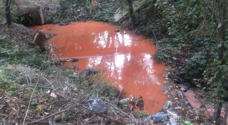 Фото: Евгений Сляднев