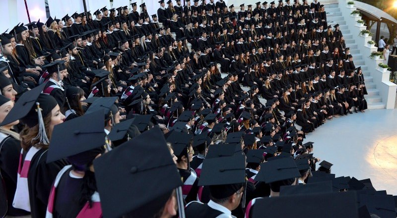 Фото с сайта company.shodennik.ua