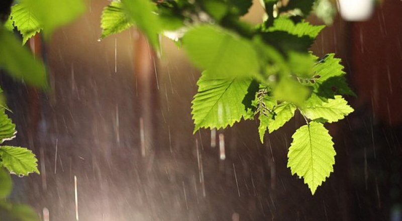 Фото с сайта idylle.spb.ru