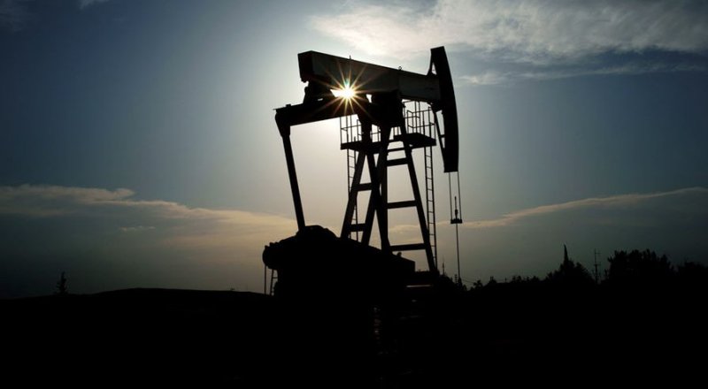 Фото Shutterstock