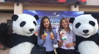 Алматы "встретил" панд из Китая