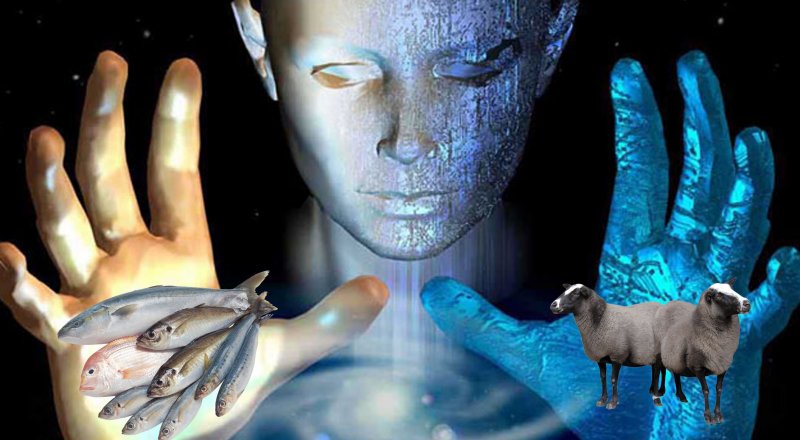 Коллаж ©Tengrinews