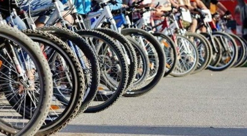 Фото из свободных источников