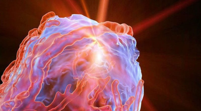 Фото с сайта vesti.ru