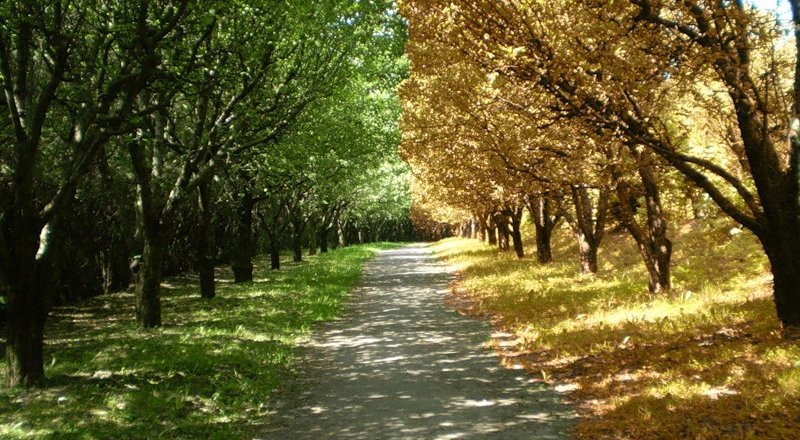 Фото с сайта vk.com