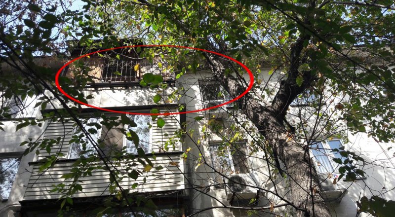 Фото ©Tengrinews