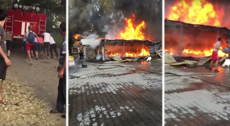 Коллаж Tengrinews