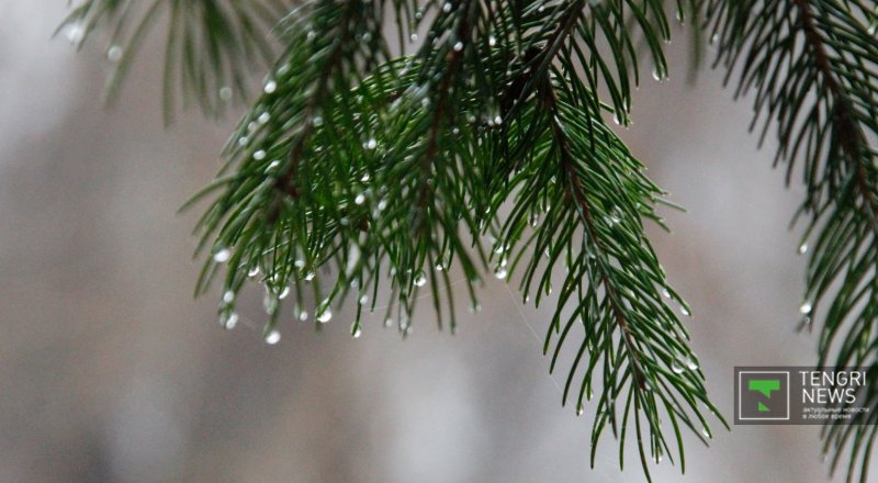 Фото ©Tengrinews