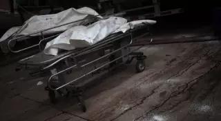 Юристы разошлись во мнениях о наказании за убийство и расчленение человека в РК