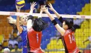 Казахстанские волейболистки впервые вышли в финал Кубка Азии