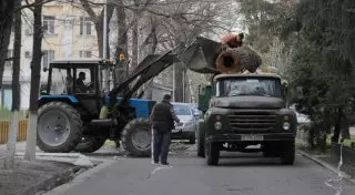 Алматинцы могут пожаловаться на вырубку деревьев через мобильное приложение